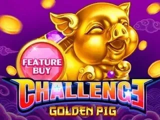 Challenge Golden Pig